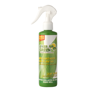 Evergreen Abrillantador 250Ml