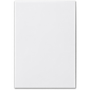 Azul Fz 30X60 M3600 Blanco Mate