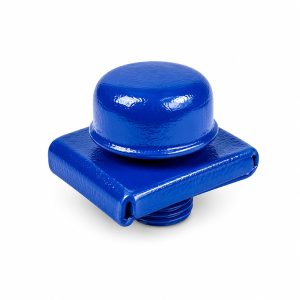 Xr Tapon Pvc P/Tornillo Techo Azul